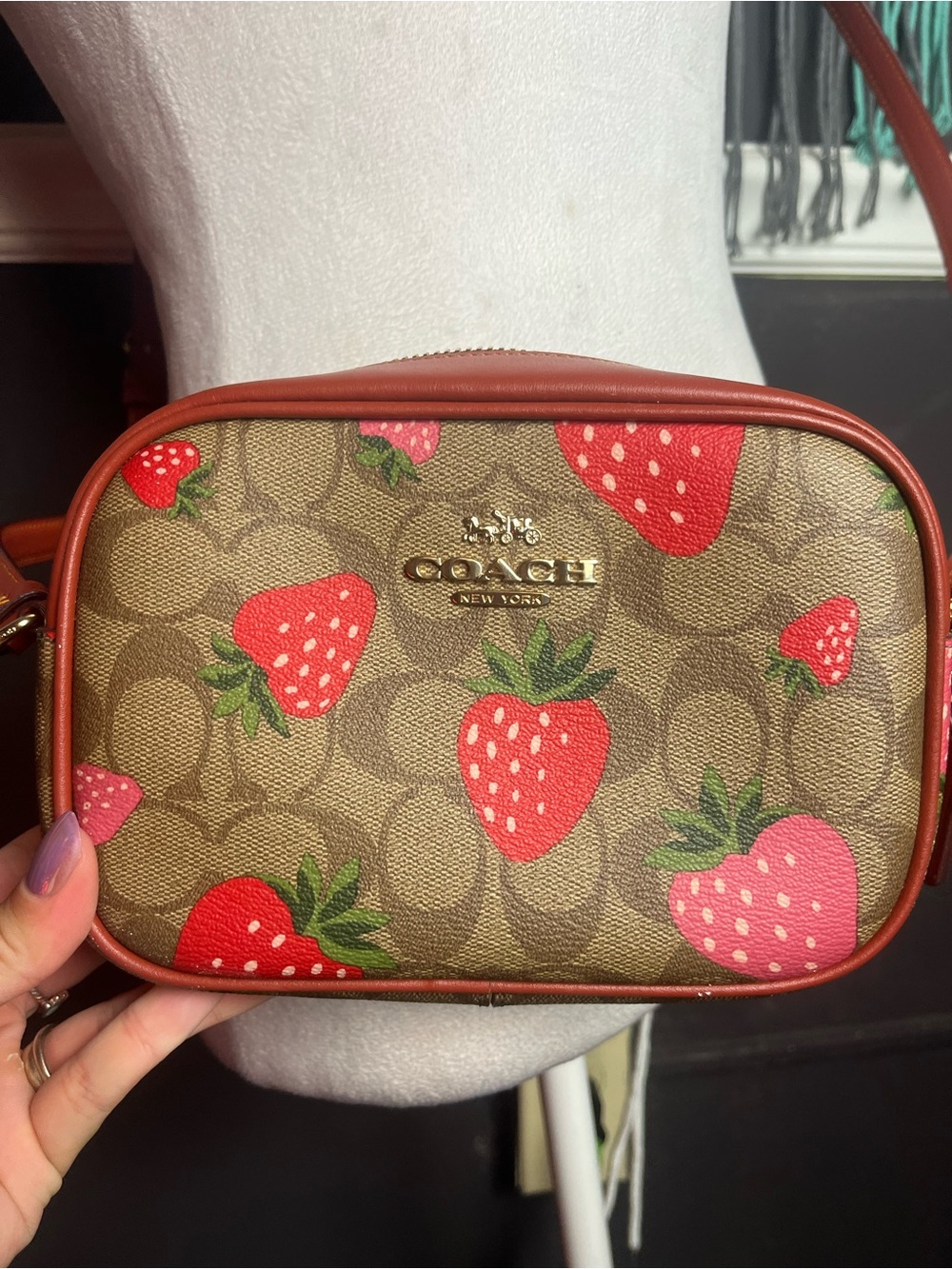 Coach Mini Jamie Camera Bag in Signature Canvas with Wild Strawberry Print